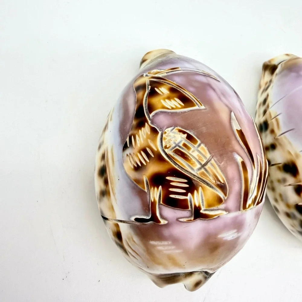 Vintage Carved Tiger Cowrie Shell‎ Pair Pelican Seahorse Cameo Coastal Estate